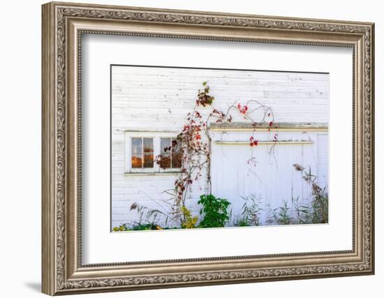 Barnside-Steven Maxx-Framed Photographic Print