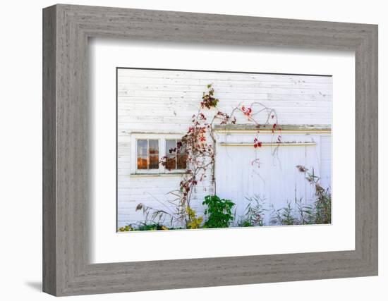 Barnside-Steven Maxx-Framed Photographic Print