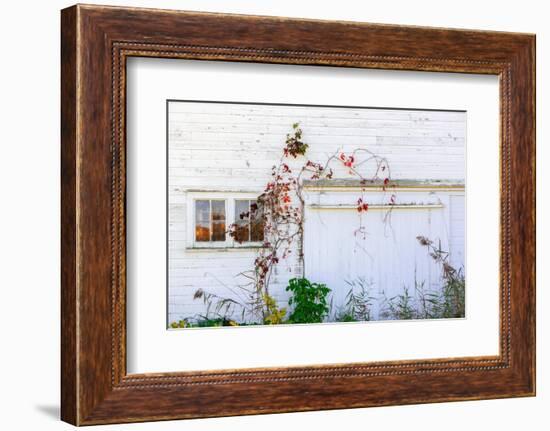 Barnside-Steven Maxx-Framed Photographic Print