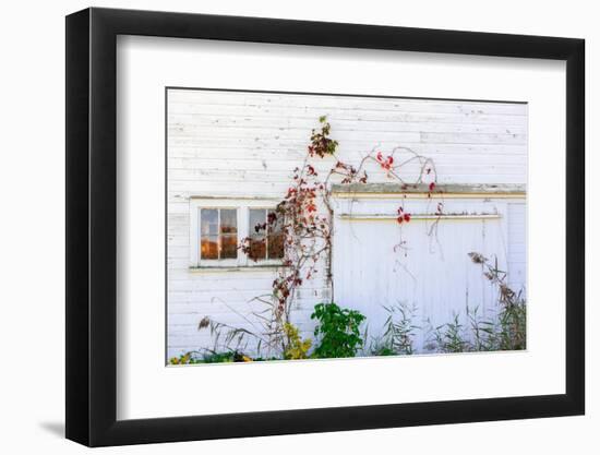 Barnside-Steven Maxx-Framed Photographic Print