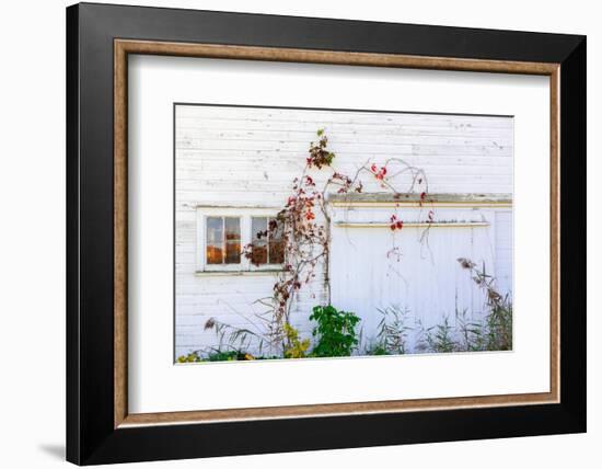 Barnside-Steven Maxx-Framed Photographic Print