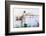 Barnside-Steven Maxx-Framed Photographic Print