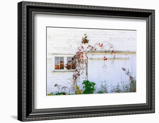 Barnside-Steven Maxx-Framed Photographic Print