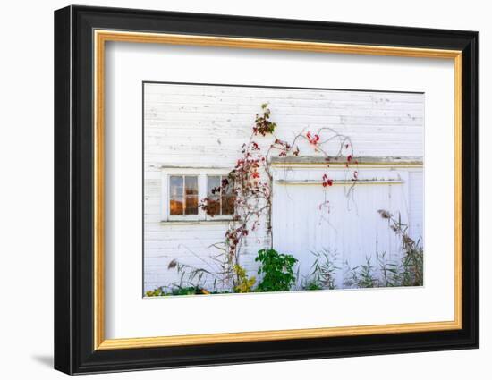 Barnside-Steven Maxx-Framed Photographic Print