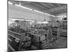 Barnsley Co-Op, Kendray Branch Interior, Barnsley, South Yorkshire, 1961-Michael Walters-Mounted Photographic Print