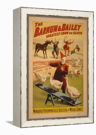 Barnum and Bailey Circus poster, c.1900-null-Framed Premier Image Canvas