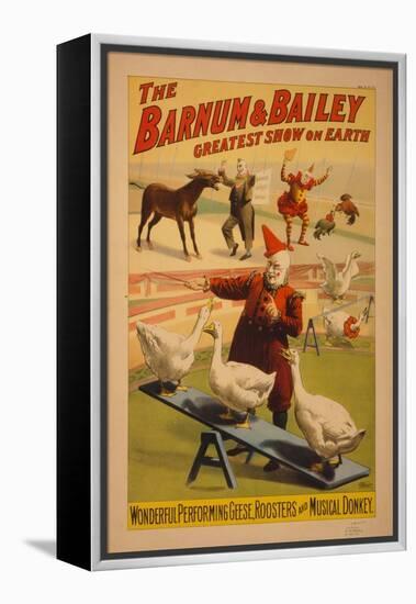 Barnum and Bailey Circus poster, c.1900-null-Framed Premier Image Canvas