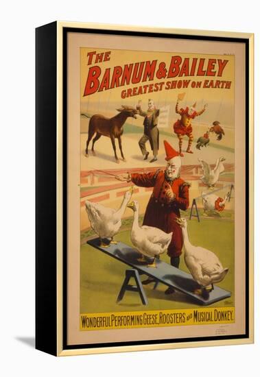 Barnum and Bailey Circus poster, c.1900-null-Framed Premier Image Canvas