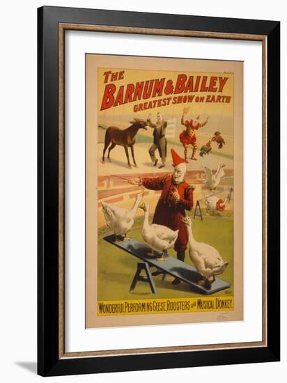 Barnum and Bailey Circus poster, c.1900-null-Framed Giclee Print