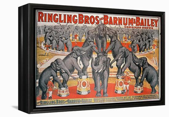 Barnum and Bailey Circus Poster-American School-Framed Premier Image Canvas