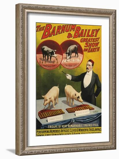 Barnum and Bailey, Poster, 1900-null-Framed Giclee Print