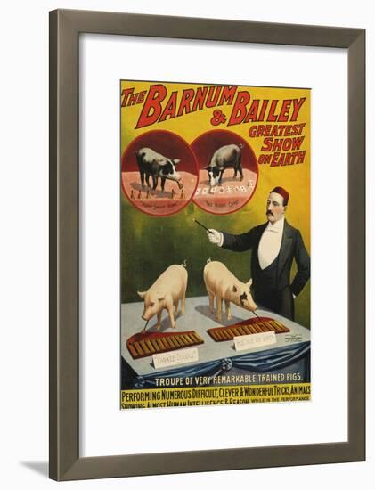 Barnum and Bailey, Poster, 1900-null-Framed Giclee Print