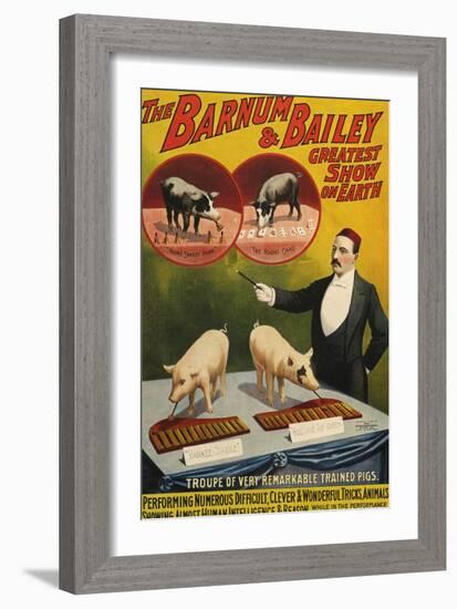 Barnum and Bailey, Poster, 1900-null-Framed Giclee Print