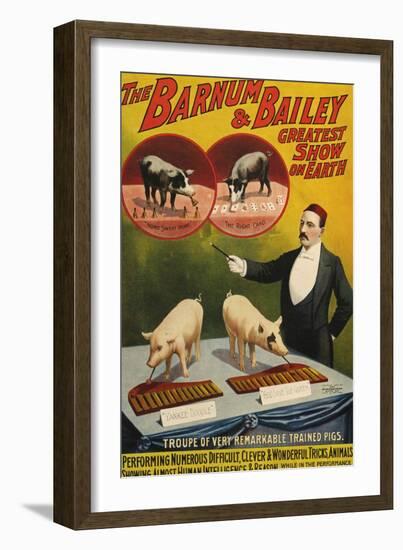 Barnum and Bailey, Poster, 1900-null-Framed Giclee Print