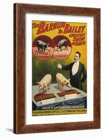 Barnum and Bailey, Poster, 1900-null-Framed Giclee Print