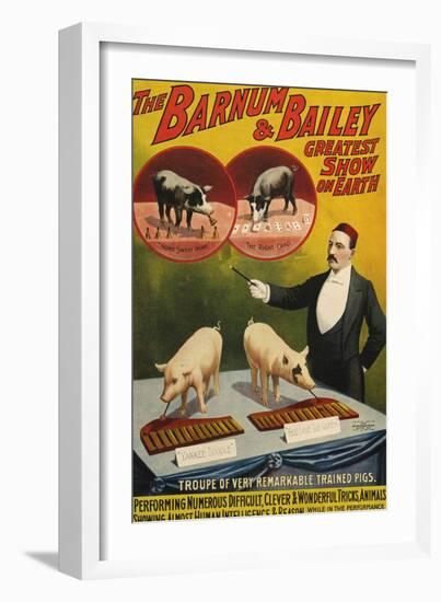 Barnum and Bailey, Poster, 1900-null-Framed Giclee Print