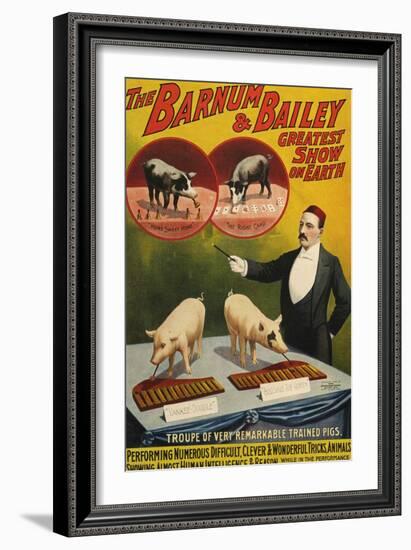 Barnum and Bailey, Poster, 1900-null-Framed Giclee Print
