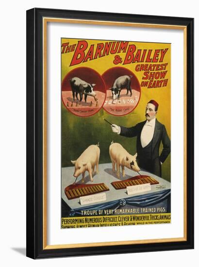 Barnum and Bailey, Poster, 1900--Framed Giclee Print