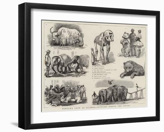 Barnum's Show at Olympia, Sketches Behind the Scenes-null-Framed Giclee Print