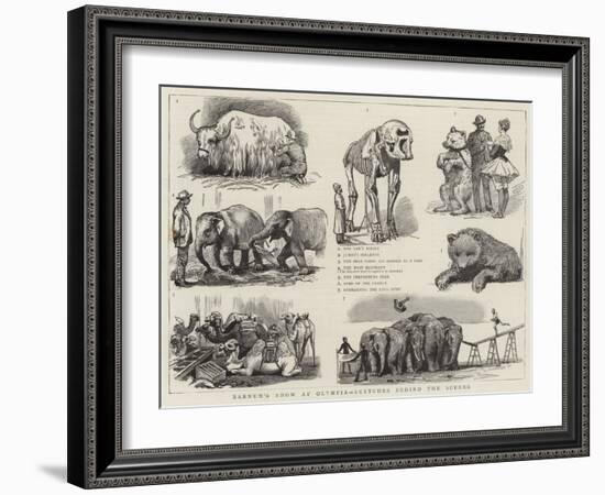 Barnum's Show at Olympia, Sketches Behind the Scenes-null-Framed Giclee Print