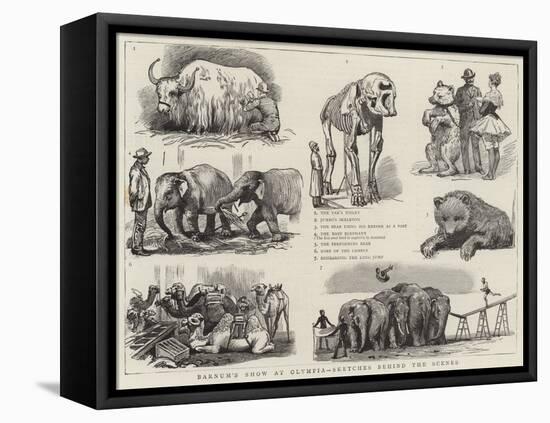 Barnum's Show at Olympia, Sketches Behind the Scenes-null-Framed Premier Image Canvas