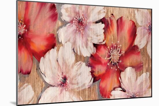 Barnwood Blossoms-Jurgen Gottschlag-Mounted Art Print