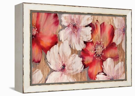 Barnwood Blossoms-Jurgen Gottschlag-Framed Stretched Canvas