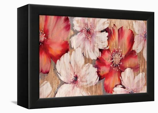 Barnwood Blossoms-Jurgen Gottschlag-Framed Stretched Canvas