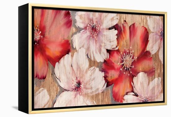 Barnwood Blossoms-Jurgen Gottschlag-Framed Stretched Canvas