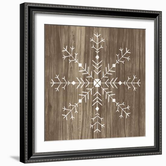 Barnwood Wonderland I-June Vess-Framed Art Print