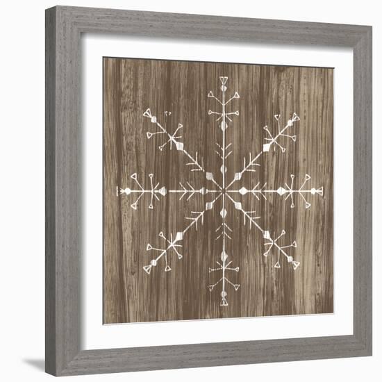 Barnwood Wonderland V-June Vess-Framed Art Print