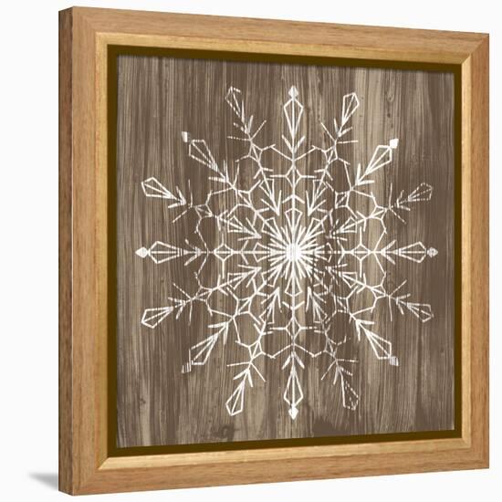 Barnwood Wonderland VI-June Vess-Framed Stretched Canvas