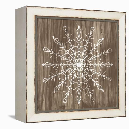 Barnwood Wonderland VI-June Vess-Framed Stretched Canvas