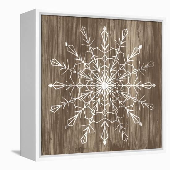 Barnwood Wonderland VI-June Vess-Framed Stretched Canvas