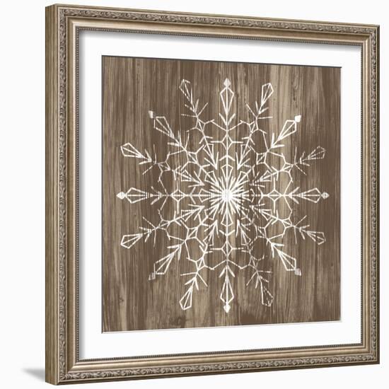 Barnwood Wonderland VI-June Vess-Framed Art Print