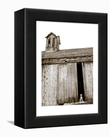 Barnyard Dog-Jim Dratfield-Framed Stretched Canvas