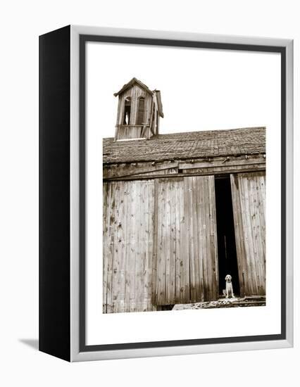 Barnyard Dog-Jim Dratfield-Framed Stretched Canvas