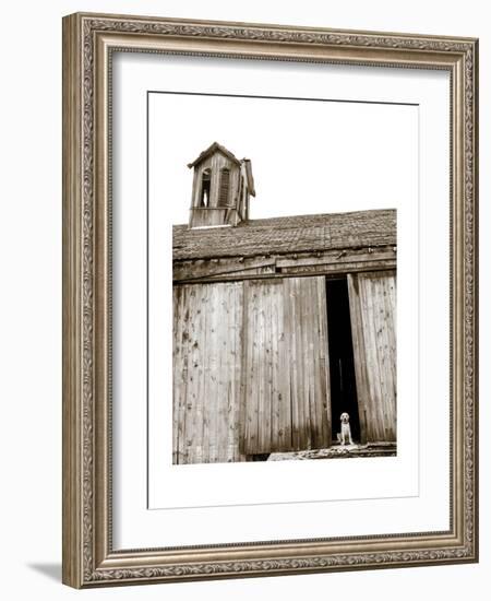 Barnyard Dog-Jim Dratfield-Framed Premium Giclee Print