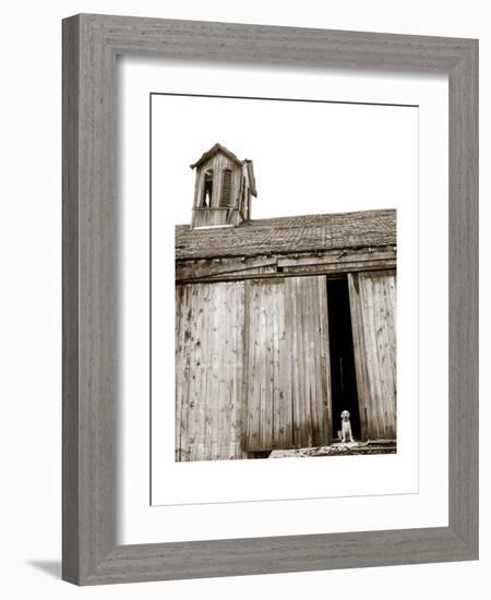 Barnyard Dog-Jim Dratfield-Framed Premium Giclee Print