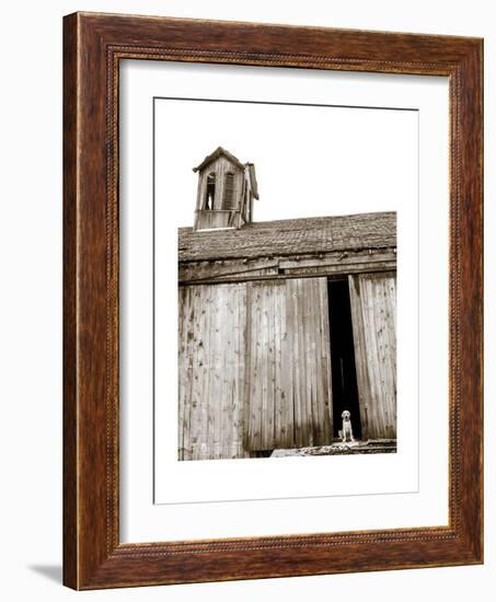 Barnyard Dog-Jim Dratfield-Framed Premium Giclee Print