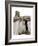 Barnyard Dog-Jim Dratfield-Framed Premium Giclee Print