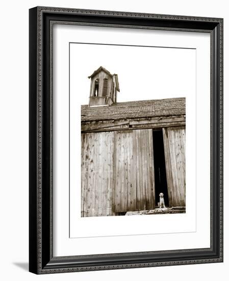 Barnyard Dog-Jim Dratfield-Framed Premium Giclee Print