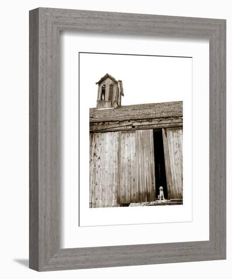 Barnyard Dog-Jim Dratfield-Framed Art Print