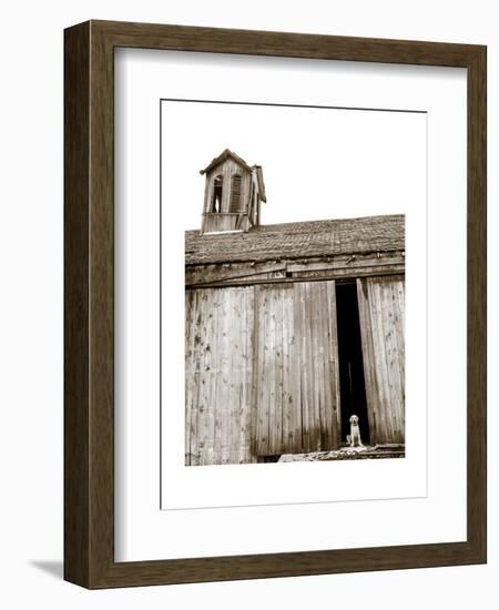 Barnyard Dog-Jim Dratfield-Framed Art Print