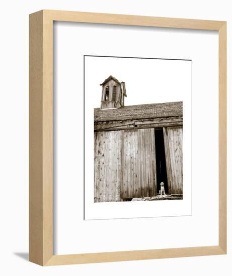 Barnyard Dog-Jim Dratfield-Framed Art Print