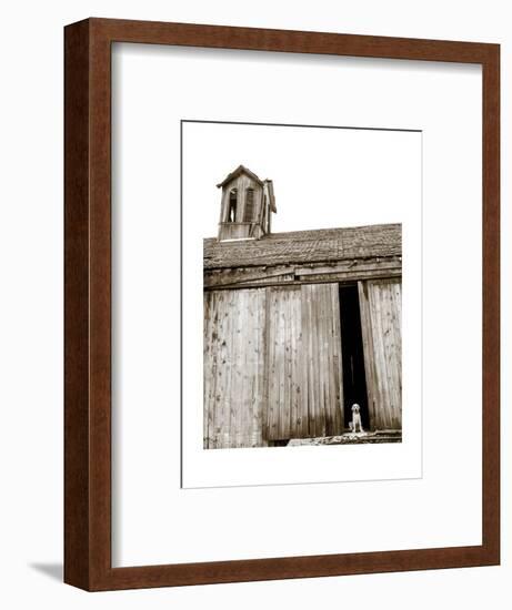 Barnyard Dog-Jim Dratfield-Framed Art Print