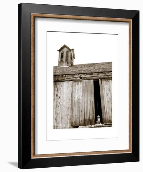 Barnyard Dog-Jim Dratfield-Framed Art Print