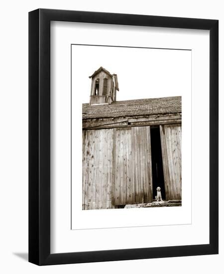 Barnyard Dog-Jim Dratfield-Framed Art Print