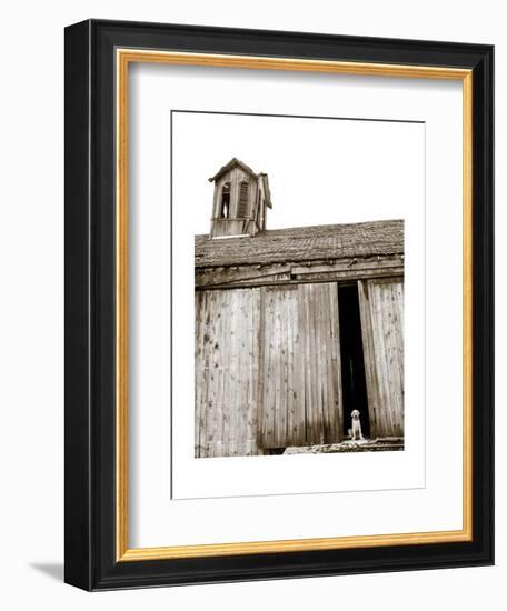 Barnyard Dog-Jim Dratfield-Framed Art Print