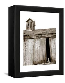 Barnyard Dog-Jim Dratfield-Framed Stretched Canvas